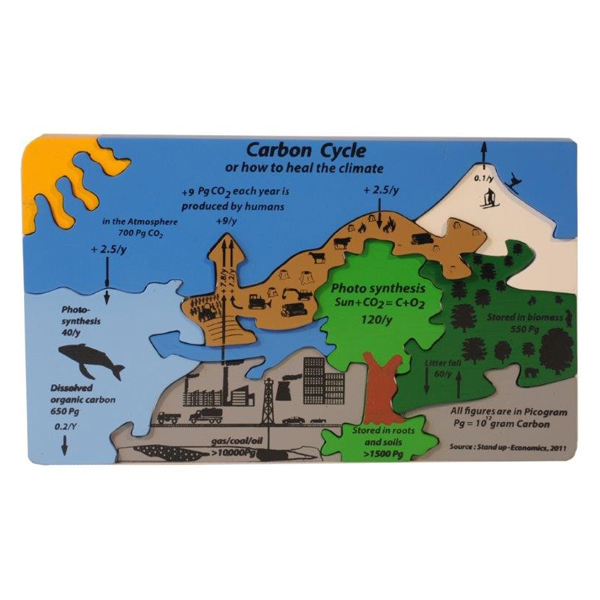 Carbon Cycle Puzzle