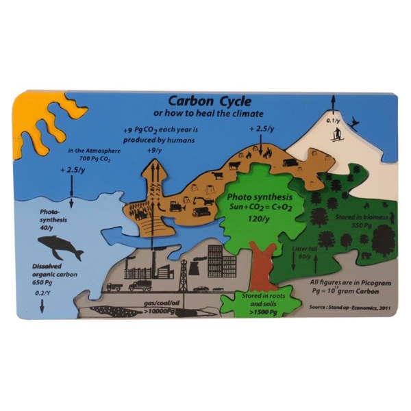 Carbon Cycle Puzzle